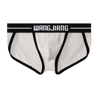 Mesh Breathable Ice Silk Men's Triangle Underwear