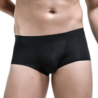 Ice Silk Seamless Boxers Boys Transparent Underpants