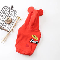 Fashionable New Dog Clothes For Autumn And Winter