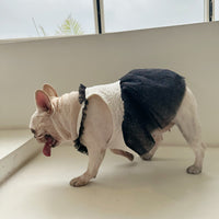 Pomeranian Small Dog Jarre Aero Bull Dress