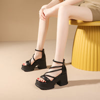 Chunky Heel Open Toe High Heel Sandals For Women Summer New Platform