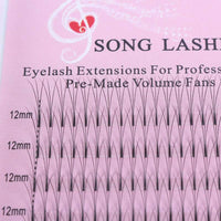 2D-6D Long Root Hairs Grafted Eyelashes 0.10 Single Hairs