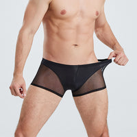 Thin Men's Mesh Translucent High Elastic Low Waist Panties