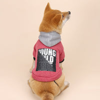 Letter Print Hooded Sweatshirt