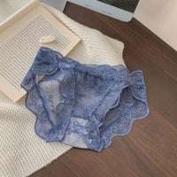 Mesh Pure Desire Comfortable Breathable Lace Thin Lace Sexy Underwear
