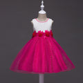 Girls' Chiffon Dress Children's Birthday
