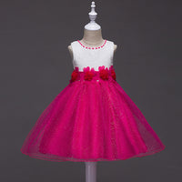 Girls' Chiffon Dress Children's Birthday