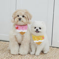 Cute Ice Cream Dog Bib Cat Pet Saliva Pocket Saliva Towel