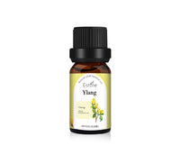 Plant Unilateral Skin Care Massage Aromatherapy Fragrant Stone Aromatherapy Oil