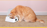 Automatic Switch Moisture-proof Smart Feeder Cat And Dog Bowl