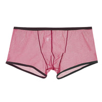 Summer Men's Mesh Low Waist Panties