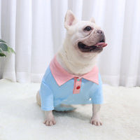 Contrasting Color Short Body Bulldog Dog Clothes