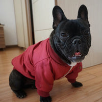 Dog Winter Clothes Padded Warm Jacket Plus Velvet