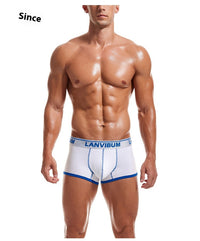 Mid-waist Lycra Cotton Big Bag Contrast Color Men's Boxers