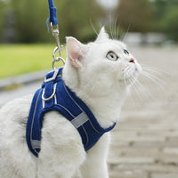 Fashion Small Dog Vest Hand Holding Rope