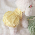 Summer Pet Skirt Cat Teddy Bichon Thin Breathable