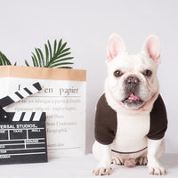 Clothes Pet Teddy Dog Fighting Two Leggings