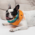 Summer Pet Dog Cooling Scarf To Go Out To Relieve The Heat