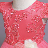 Girls Wedding Dress Princess Dress Flower Girl Fluffy Host