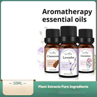 Plant Unilateral Skin Care Massage Aromatherapy Fragrant Stone Aromatherapy Oil