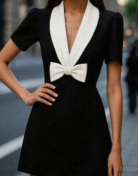 Elegant French-style Womens Dress