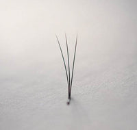 2D-6D Long Root Hairs Grafted Eyelashes 0.10 Single Hairs