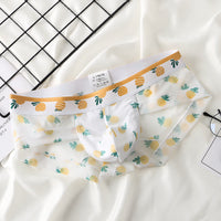 Fashion Transparent Mesh Boys Underwear Printing