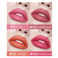 Tear And Pull Lip Gloss Sets Of Boxes Matte Finish Left Background Color