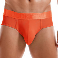 Men's Underwear Briefs Mesh Breathable Sports