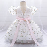 Children's Dress Princess Dress Embroidered Mesh Puffy One Year Old Celebration
