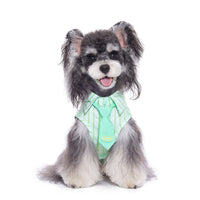 Teddy Schnauzer Pet Thin Cotton Shirt