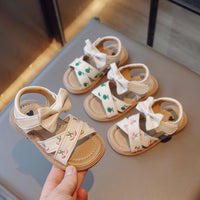 New Fashion Princess Shoes Soft Bottom Embroidered Shoes