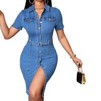 Womens Mid-Length Retro Button-Front Denim Dress