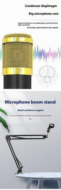 BM800 Capacitor Microphone Set Cantilever Bracket Mobile Phone Recording