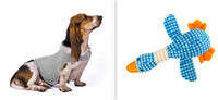 Anxiety Jacket Vest Summer Medical Treatment To Calm Down Cat Clothes Dog Comfort Clothes