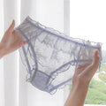 Fashion Lace Women's Quick-drying Mesh Briefs