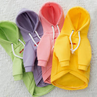 Cat Poodle Small Puppies Puppy Dog Clothes