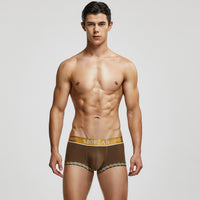 Classical Style Men's Cotton Underpants