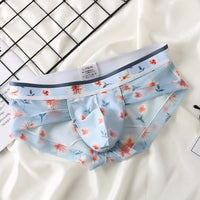Fashion Transparent Mesh Boys Underwear Printing