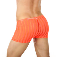 Striped Transparent Boxers Breathable Mesh