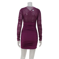 Chic, Stylish, And Sexy Mesh Bodycon Dress