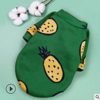 Small Dog Pet Trendy Winter Clothes