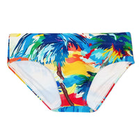 Beach Sunset Printing Swim Briefs Cross-border Sports