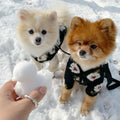 New Warm Lamb Wool Flower Dog Sweater