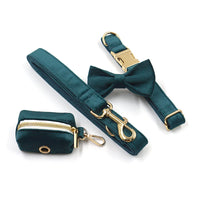 Sapphire Green Velvet Gold Buckle Hardware Pet Collar Leash