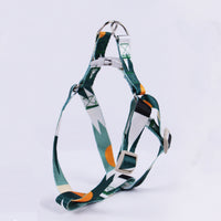 Hand Holding Rope Outing Dog Leash Dog Collar Three-piece Set