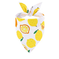 New Pet Triangle Summer Fruit Dog Saliva Towel