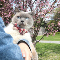 Camouflage Series Bowknot Pet Collar