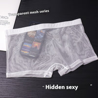 Daily Disposable See-through Nude Feel Lightweight Breathable Elastic Low Waist Boxer Briefs