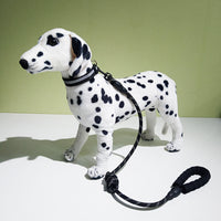 New Model Reflective Collar For Pet Dogs, With A Decorative Necklace And A Leash.